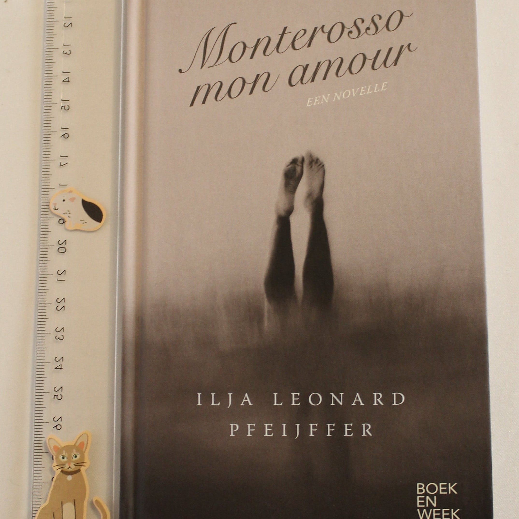Book titled 'Monterosso mon amour' by Ilja Leonard Pfeijffer with a cat illustration on a white background.