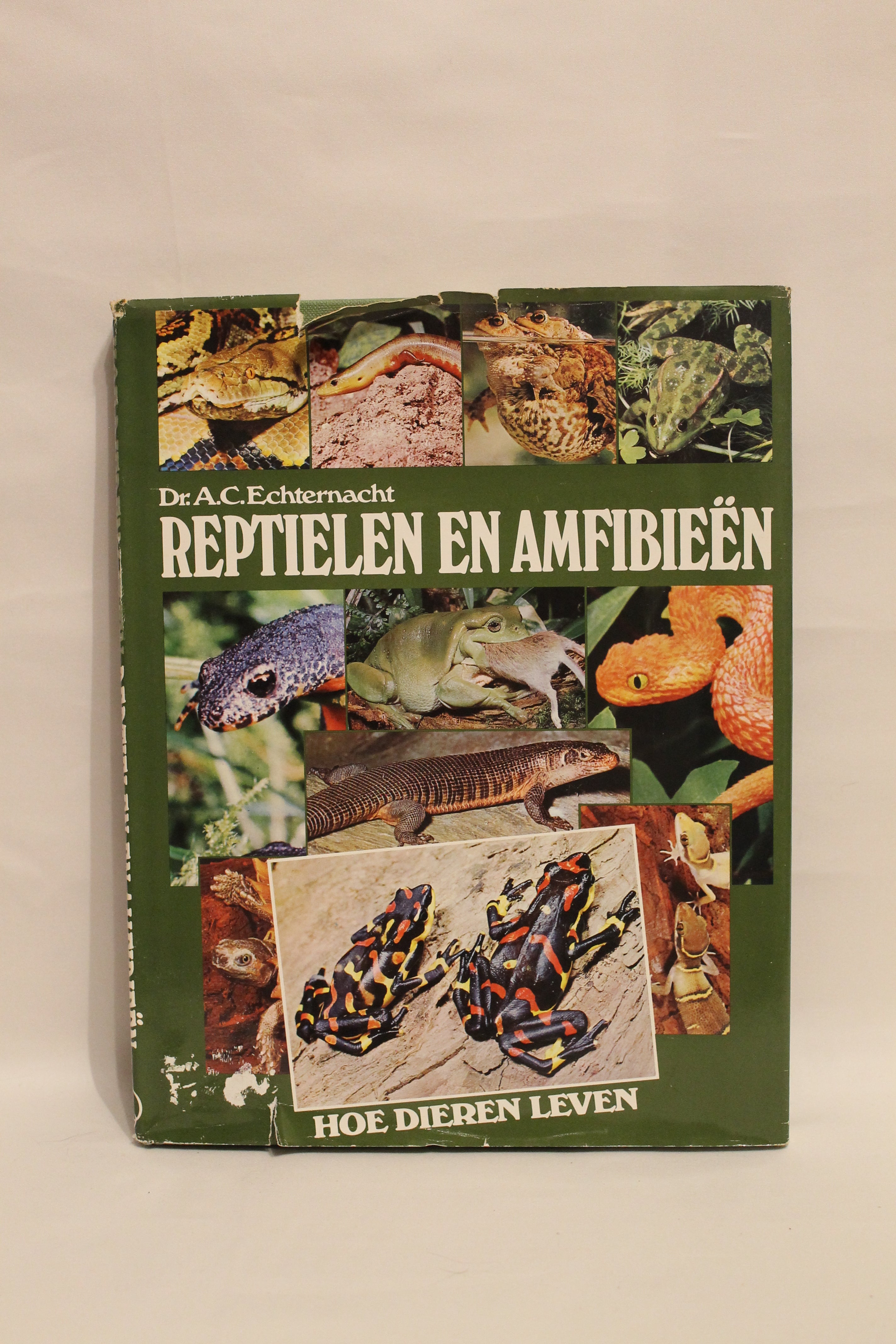 Set van 3: Terrarium & Reptielen houden