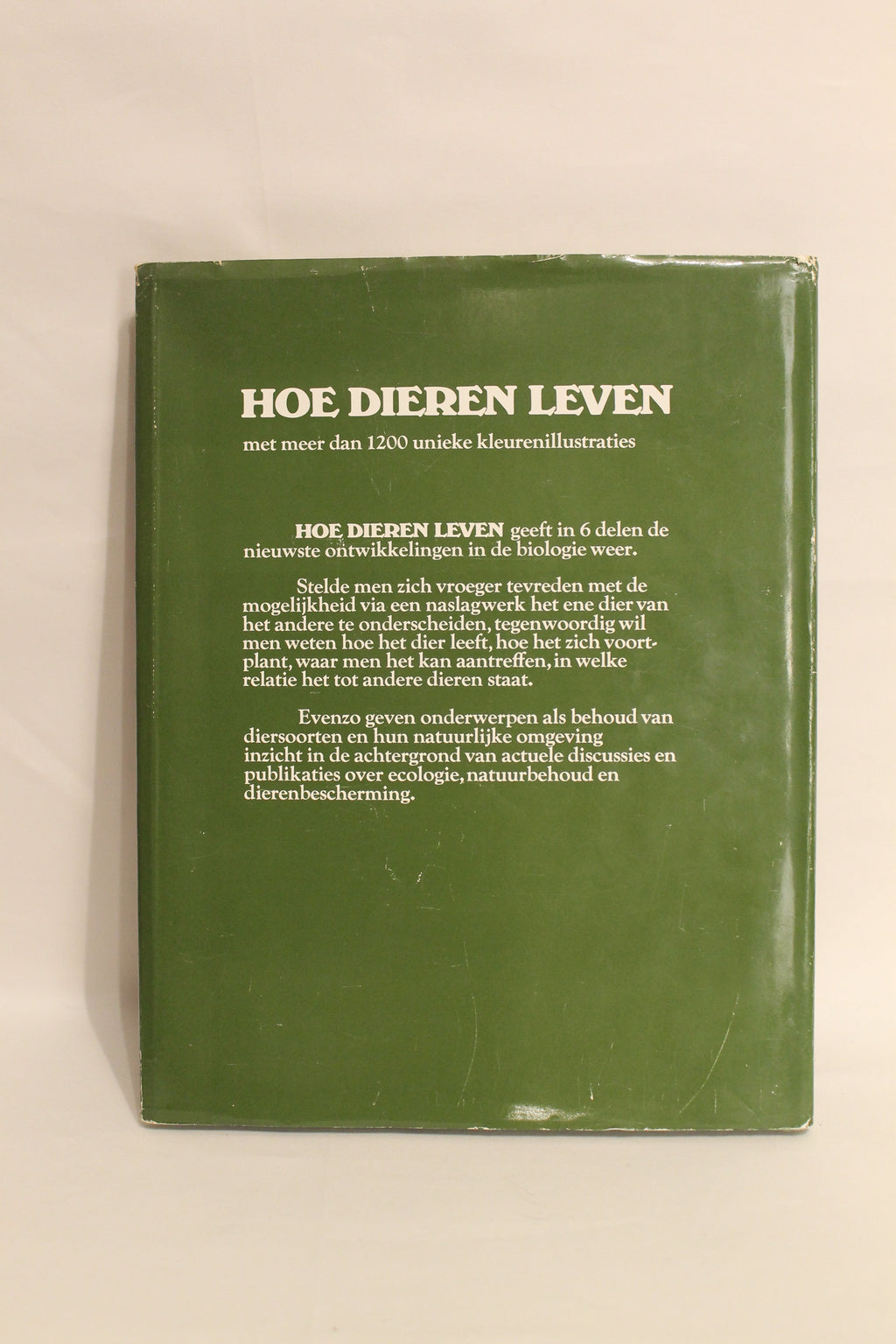 Set van 3: Terrarium & Reptielen houden