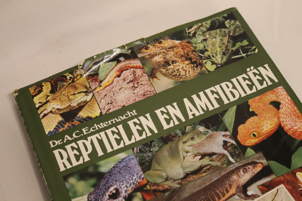 Set van 3: Terrarium & Reptielen houden