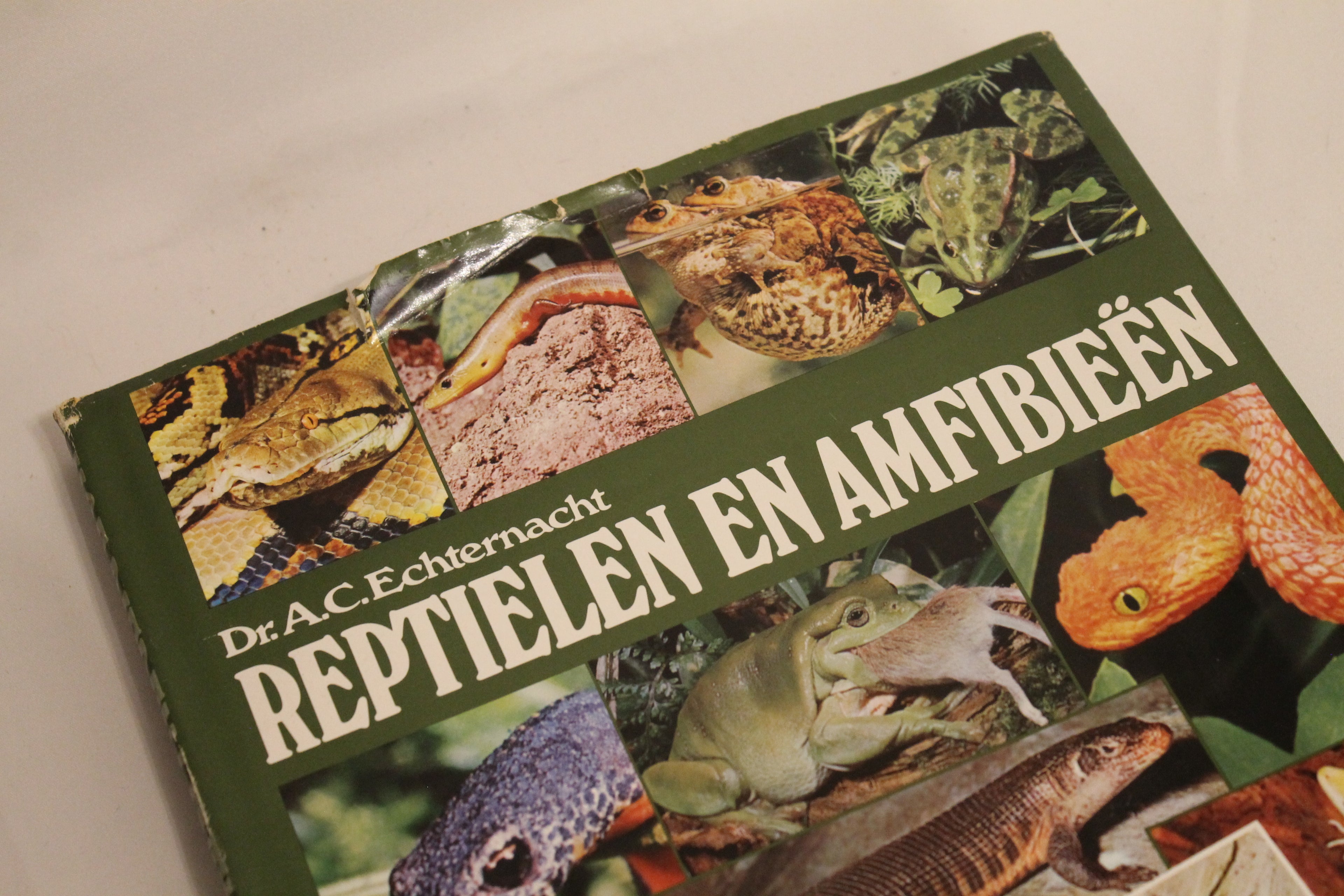Set van 3: Terrarium & Reptielen houden
