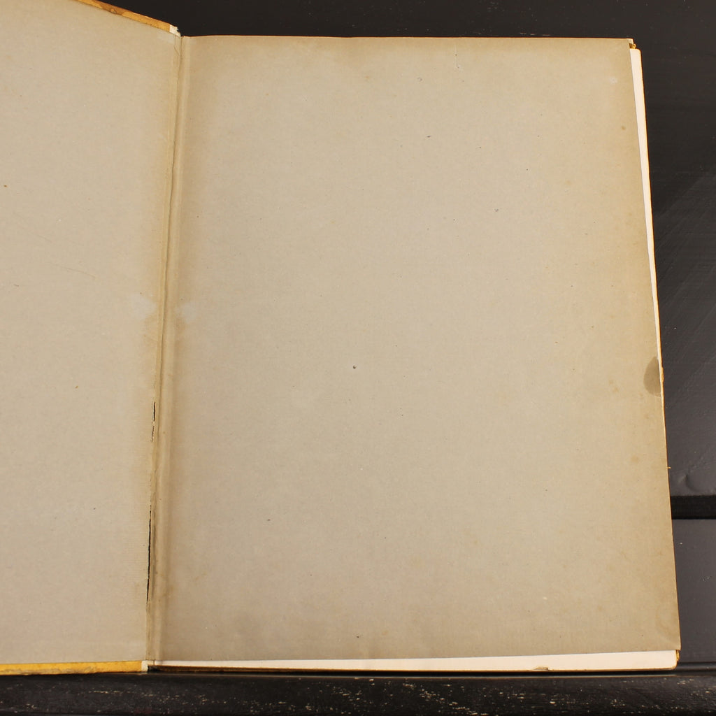 The Naval War | WWI German Navy Book | Der Gelbe Verlag 1915