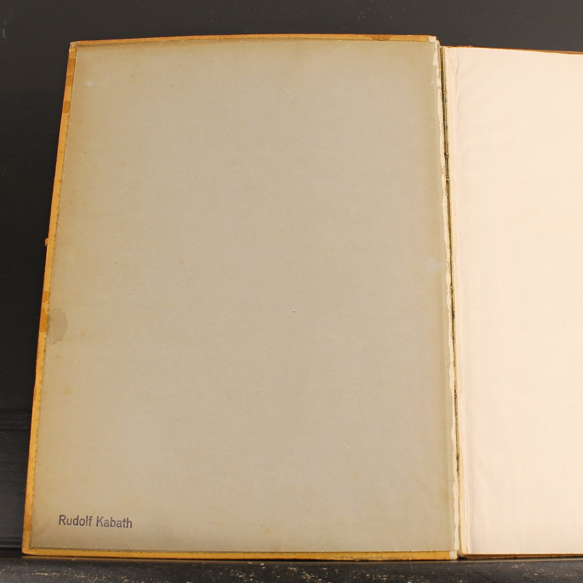 The Naval War | WWI German Navy Book | Der Gelbe Verlag 1915