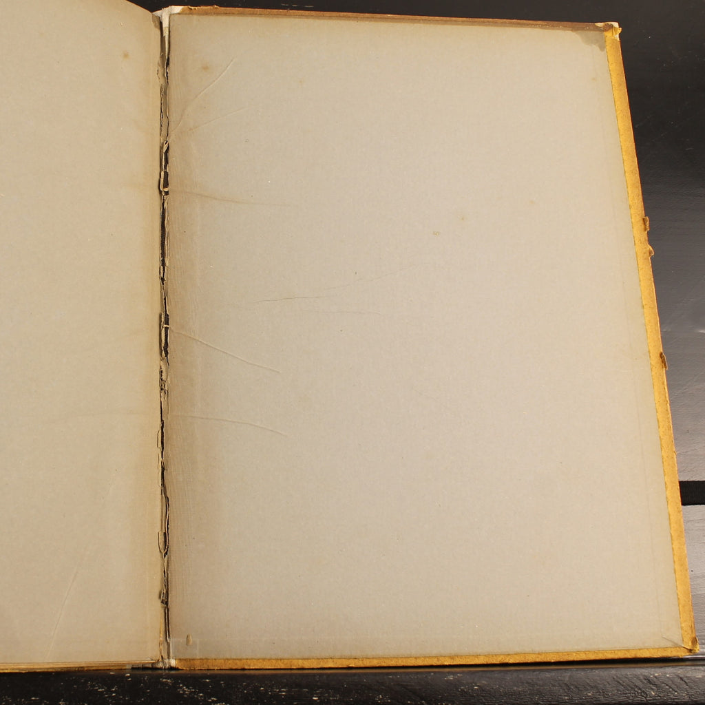 The Naval War | WWI German Navy Book | Der Gelbe Verlag 1915