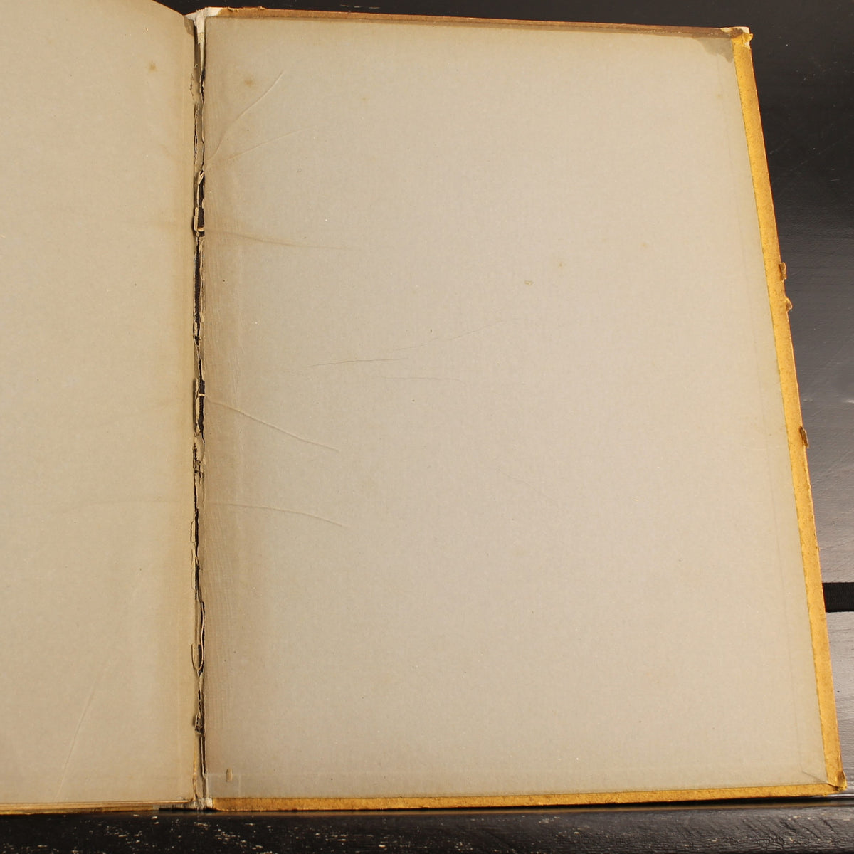 The Naval War | WWI German Navy Book | Der Gelbe Verlag 1915
