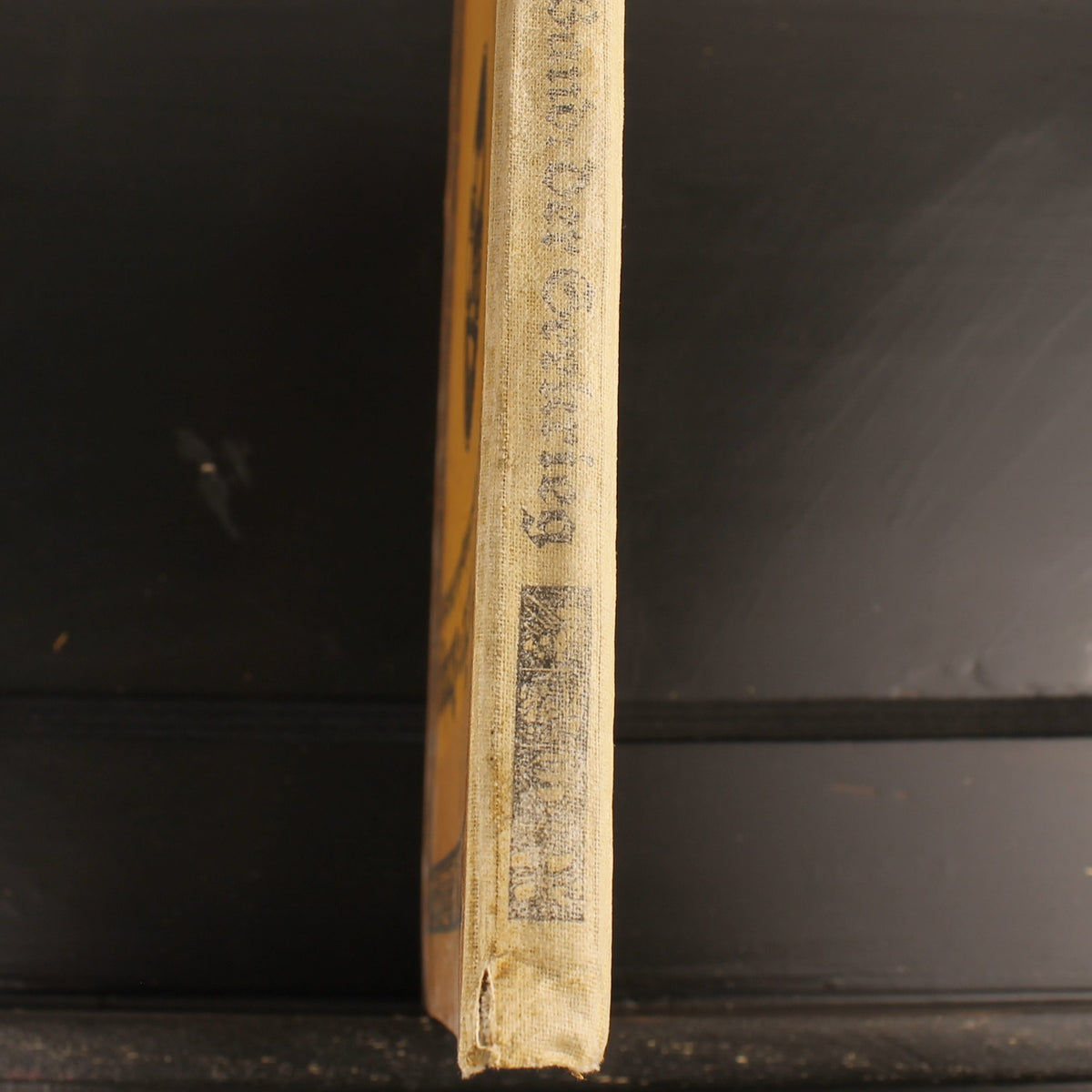 The Naval War | WWI German Navy Book | Der Gelbe Verlag 1915