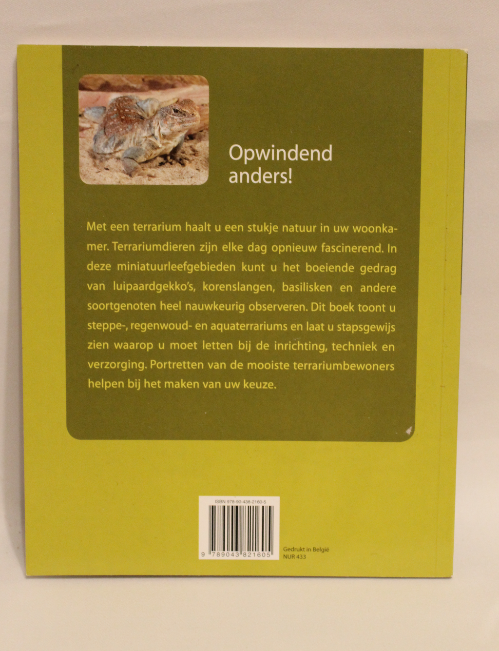 Set van 3: Terrarium & Reptielen houden