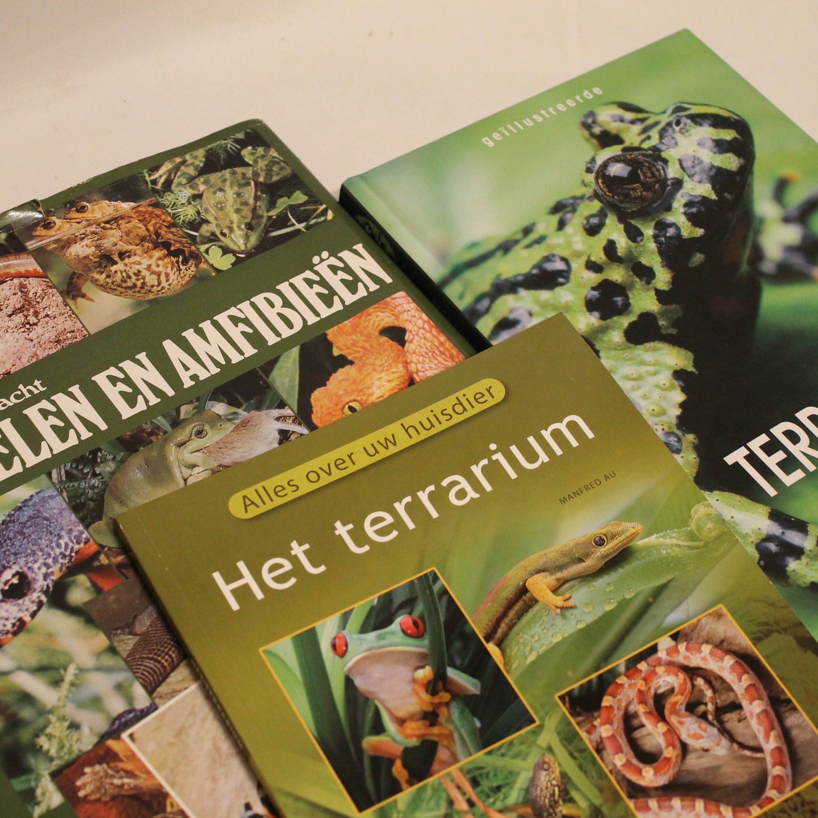 Three books on herpetology and terrariums with images of reptiles and amphibians.
