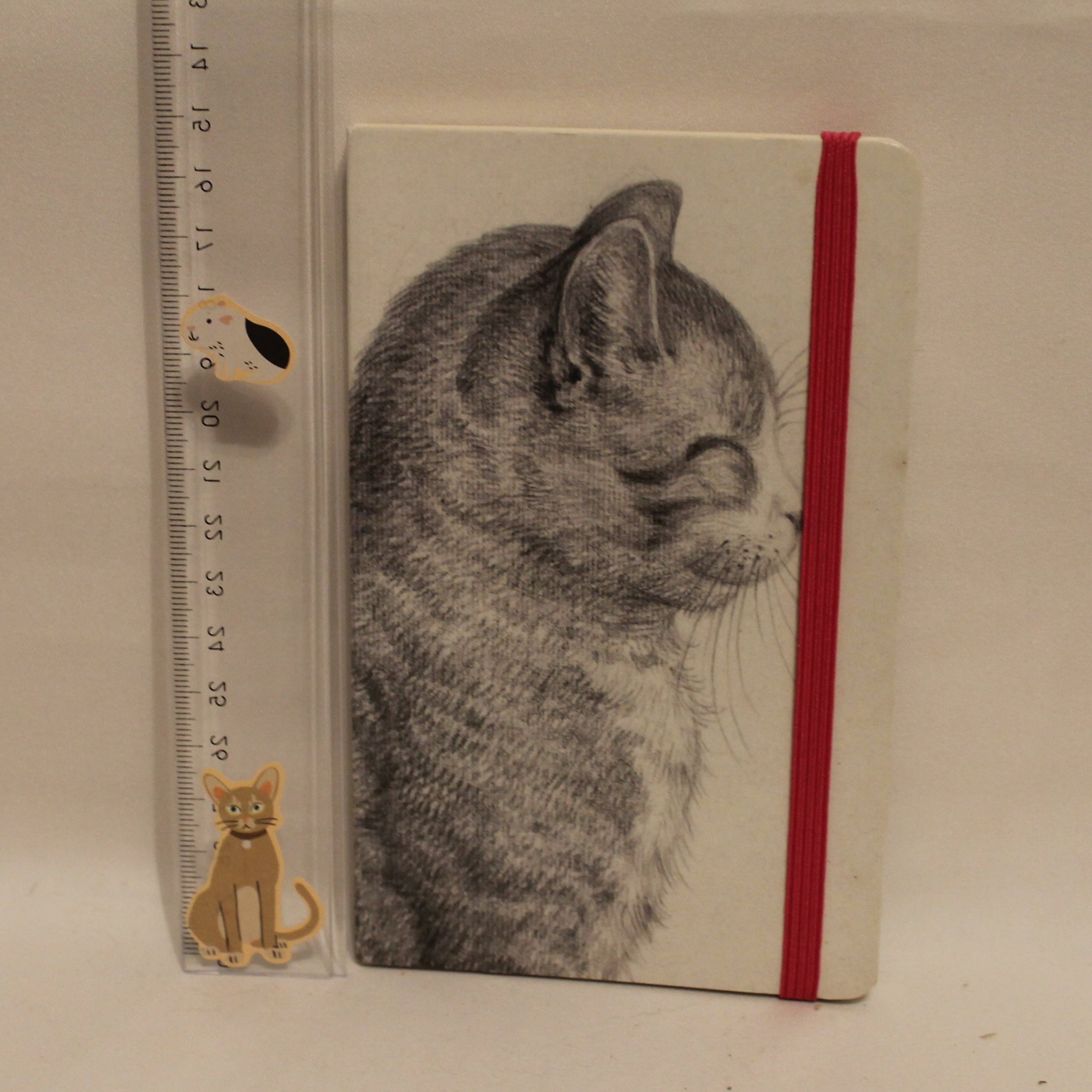 Notebook with a cat illustration and a ruler for scale on a beige background