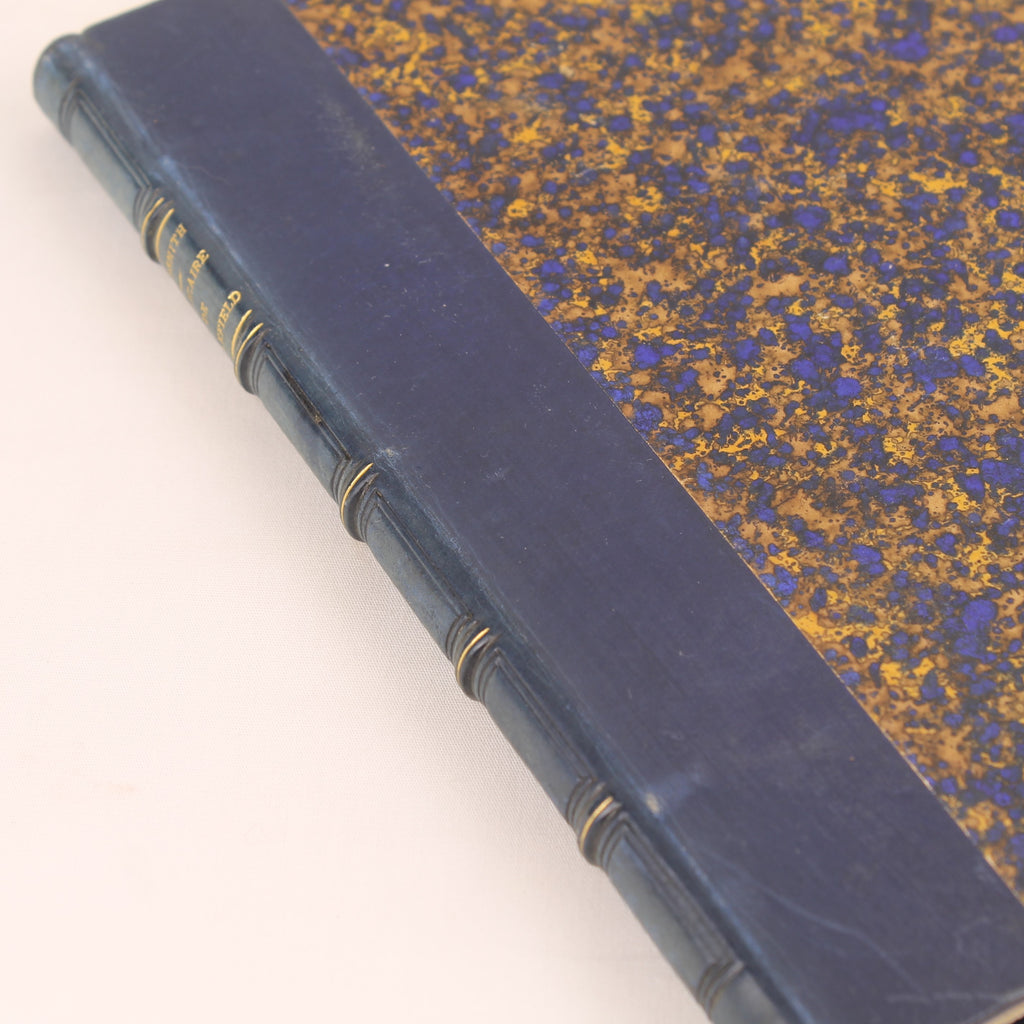 Der Landpfarrer von Wakefield von Oliver Goldsmith - Charles Nodier - Pagnerre, Verleger Paris 1847