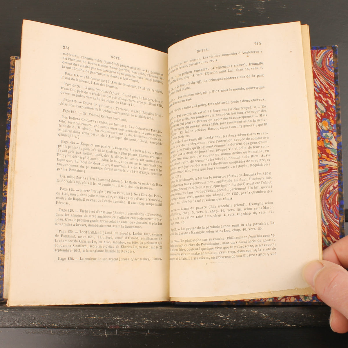 Der Landpfarrer von Wakefield von Oliver Goldsmith - Charles Nodier - Pagnerre, Verleger Paris 1847
