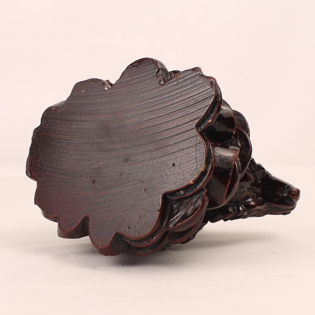 Chinesische Longgui Drachenschildkröten auf Yuanbao | Feng-Shui-Figur | 12 cm
