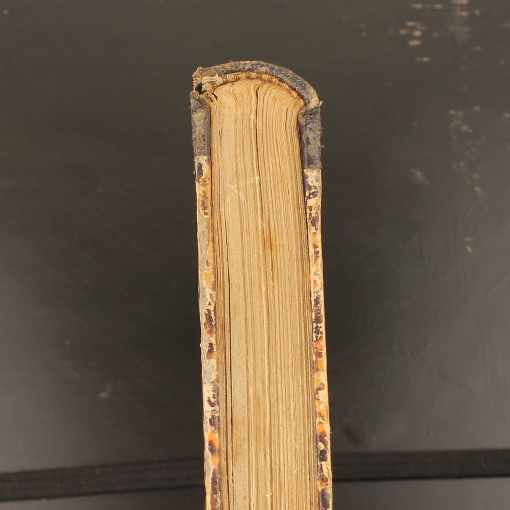 Lydia | Herman Geiger | Casterman 1866 | Sammlung Fabiola