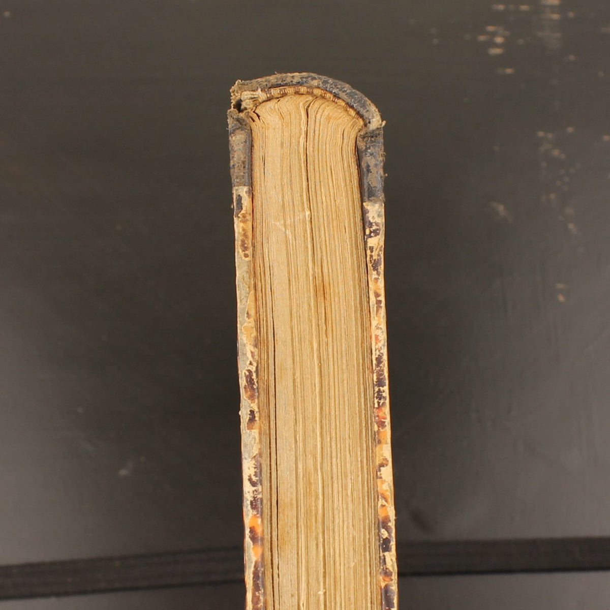Lydia | Herman Geiger | Casterman 1866 | Sammlung Fabiola