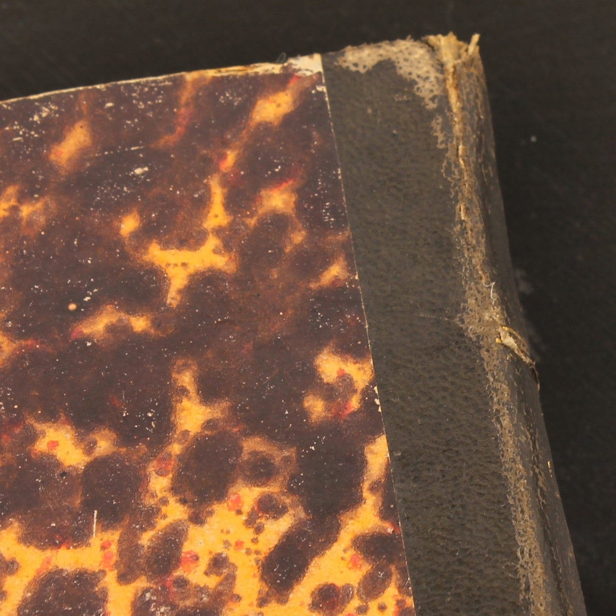 Lydia | Herman Geiger | Casterman 1866 | Sammlung Fabiola