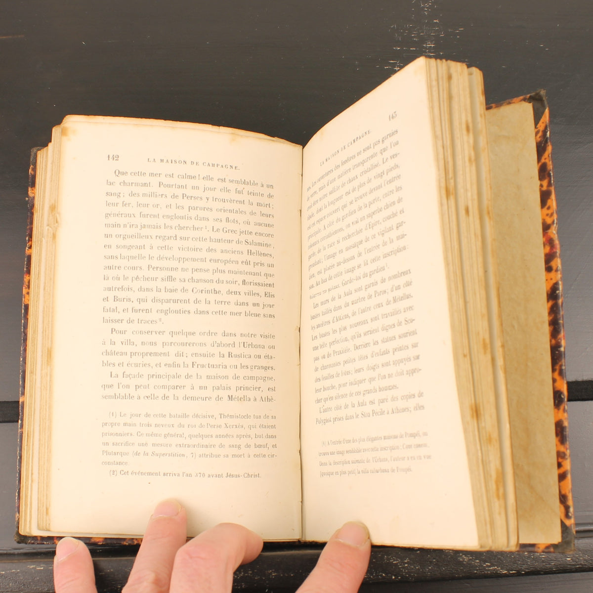 Lydia | Herman Geiger | Casterman 1866 | Sammlung Fabiola
