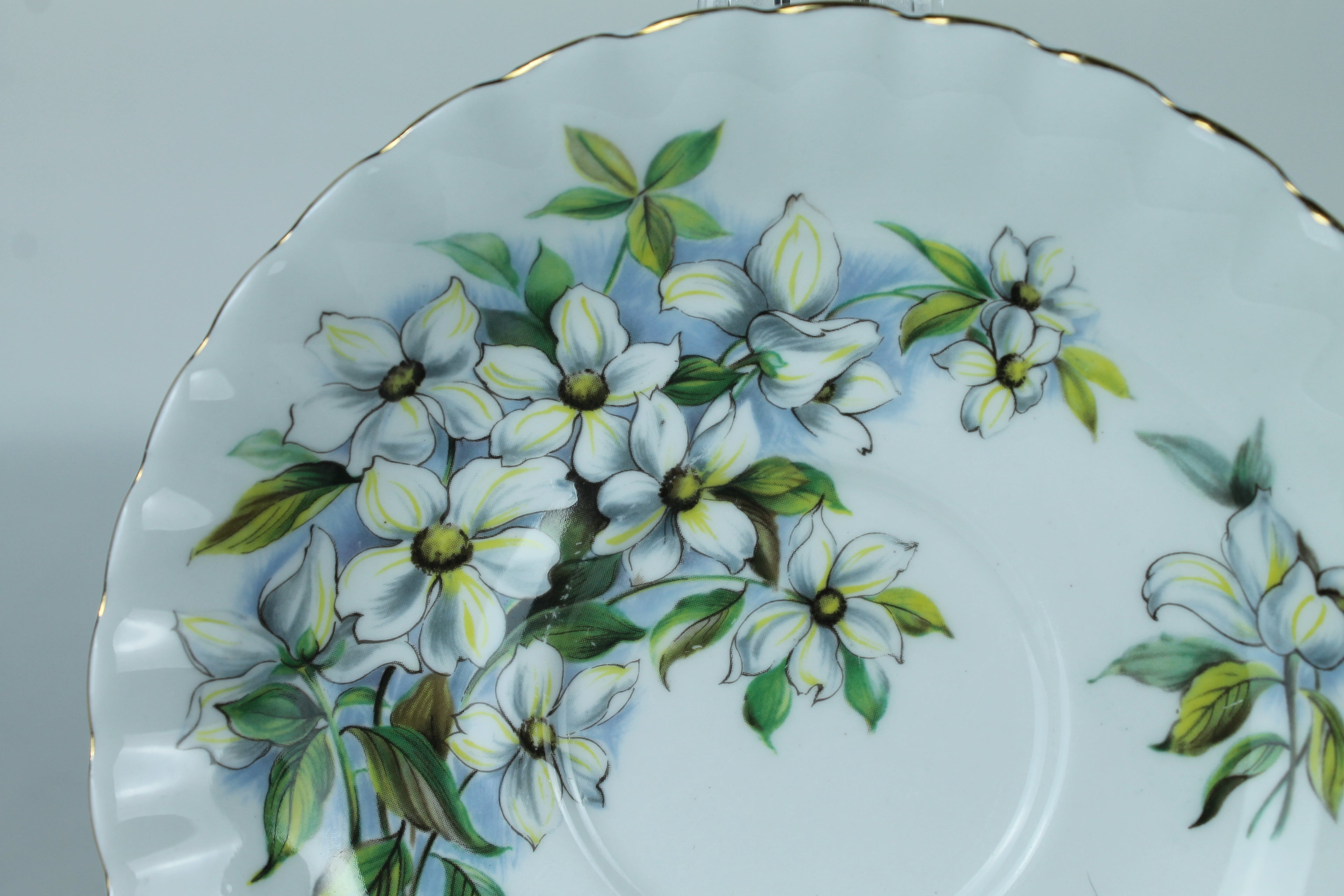 Royal Albert “Pacific Dogwood” Schoteltje – Engels Bone China (Ø 14 cm)
