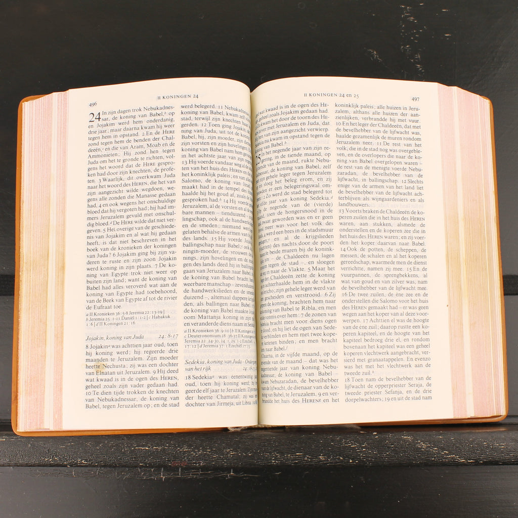 NBG-Bibel - Mit Originalkassette - Haarlem 1980