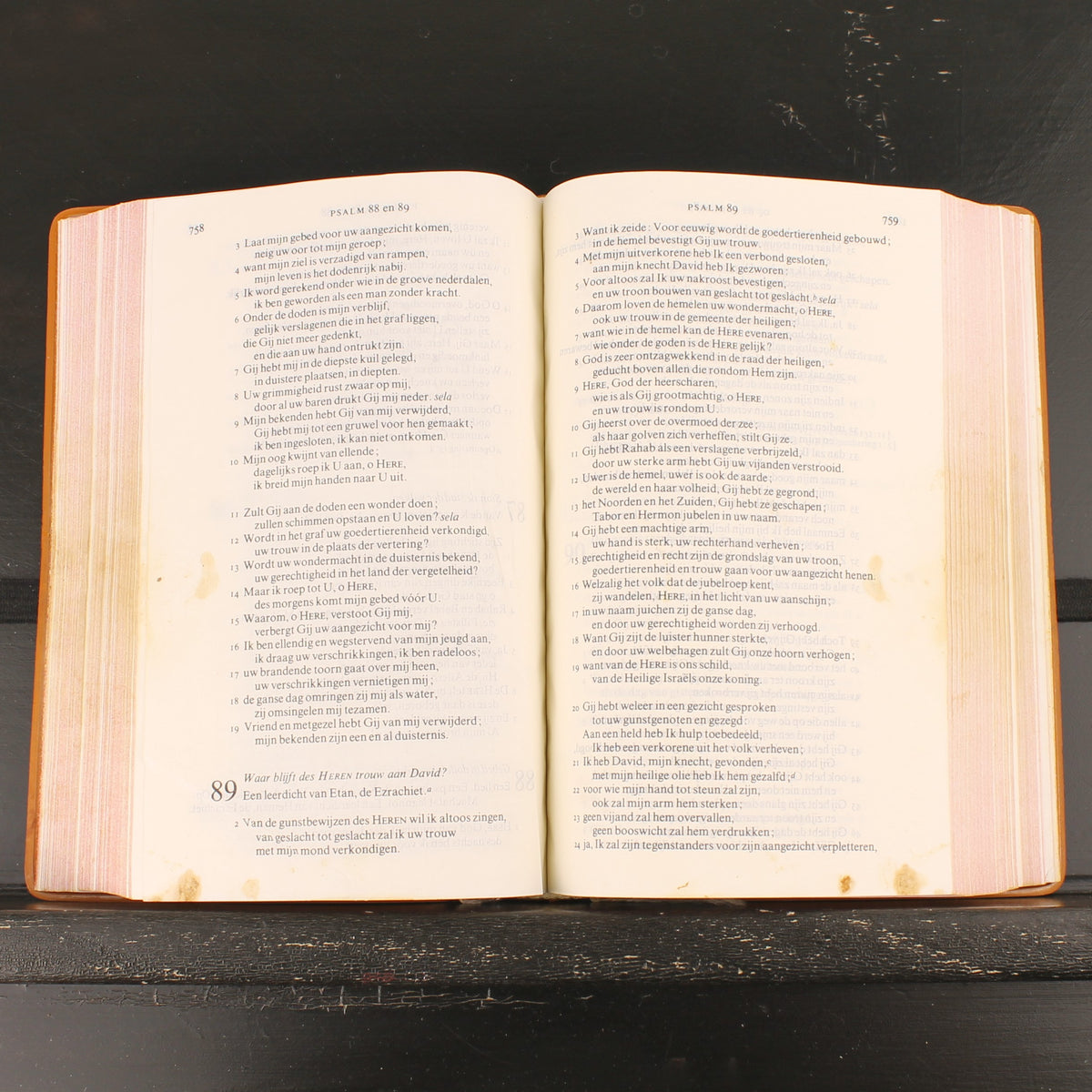 NBG-Bibel - Mit Originalkassette - Haarlem 1980
