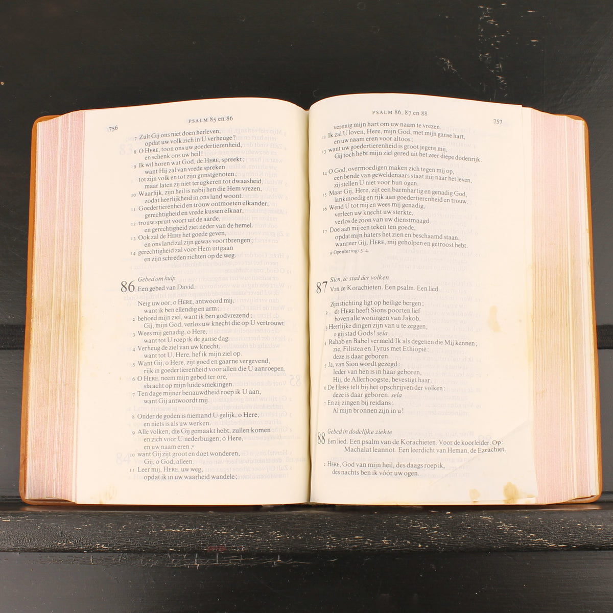NBG-Bibel - Mit Originalkassette - Haarlem 1980