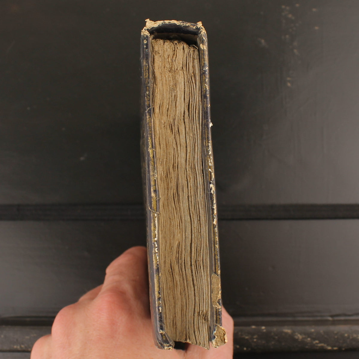 The Life of St. Aloysius Gonzaga - Barbou Frères 1846 - Antique French Religious Book
