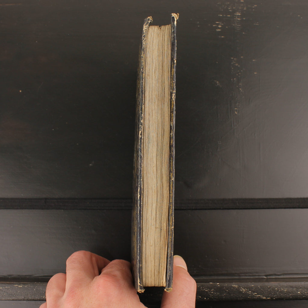 The Life of St. Aloysius Gonzaga - Barbou Frères 1846 - Antique French Religious Book