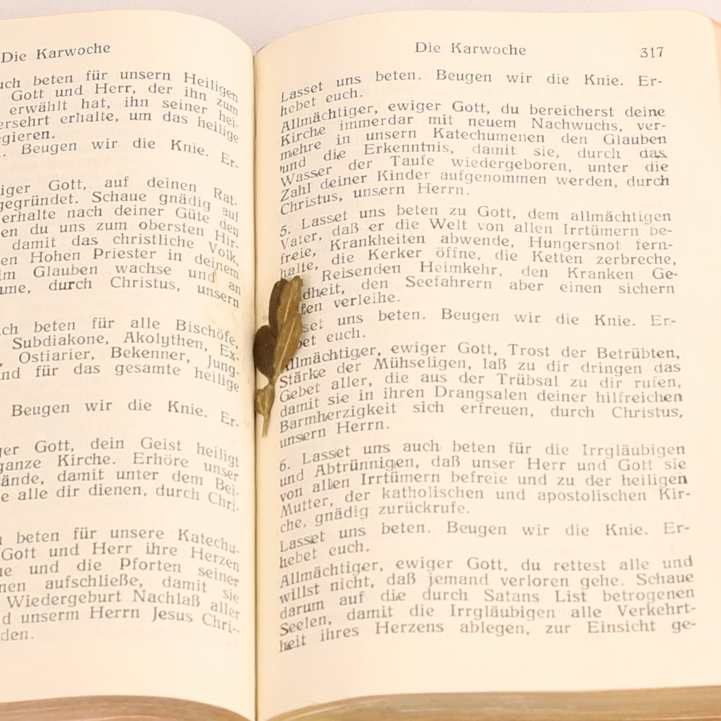 Gebet- und Gesangbuch –  Papierwerk Paul Kaiser, Eupen ca. 1940 - Leren Etui