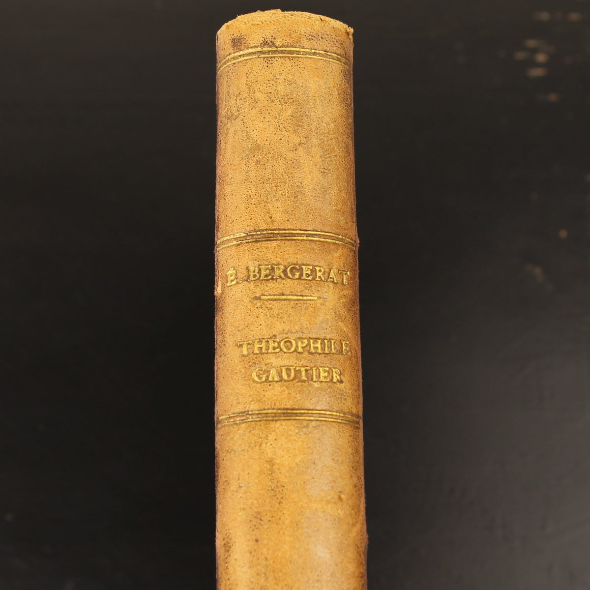 Théophile Gautier - Émile Bergerat - Eerste uitgave 1879 met originele ets van Félix Bracquemond
