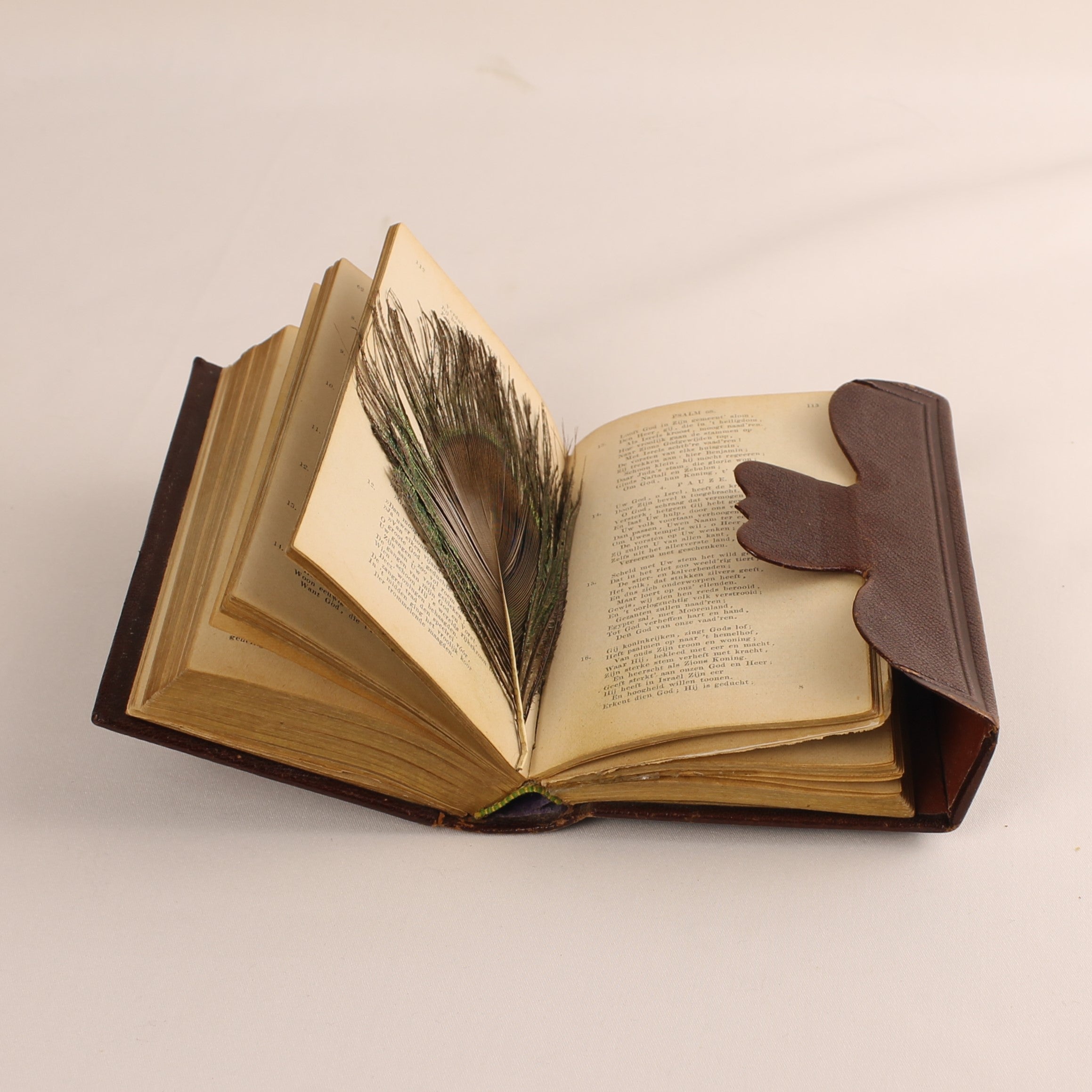 Antique Pocket Bible + Psalm Book (1773 versification) – A. Jongbloed Leeuwarden – leather overlap binding – 1911