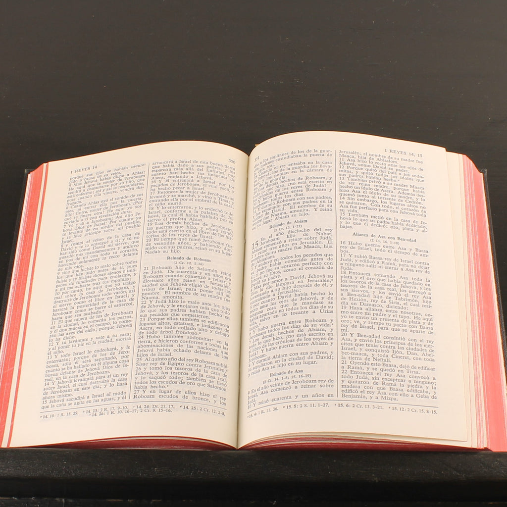 La Santa Biblia – Reina-Valera 1960 – Spaanse Bijbel – Vintage Editie ca. 1970