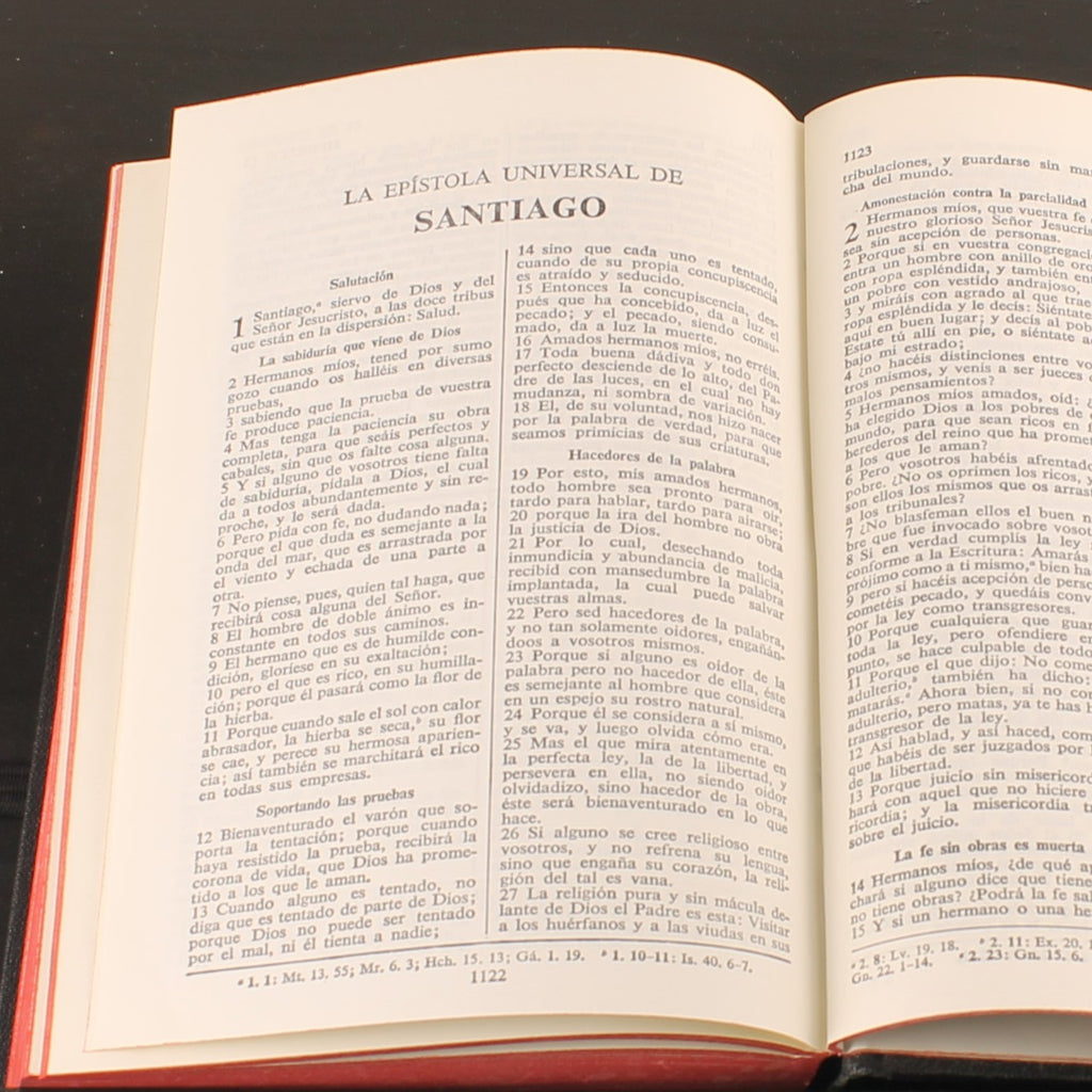 La Santa Biblia – Reina-Valera 1960 – Spaanse Bijbel – Vintage Editie ca. 1970