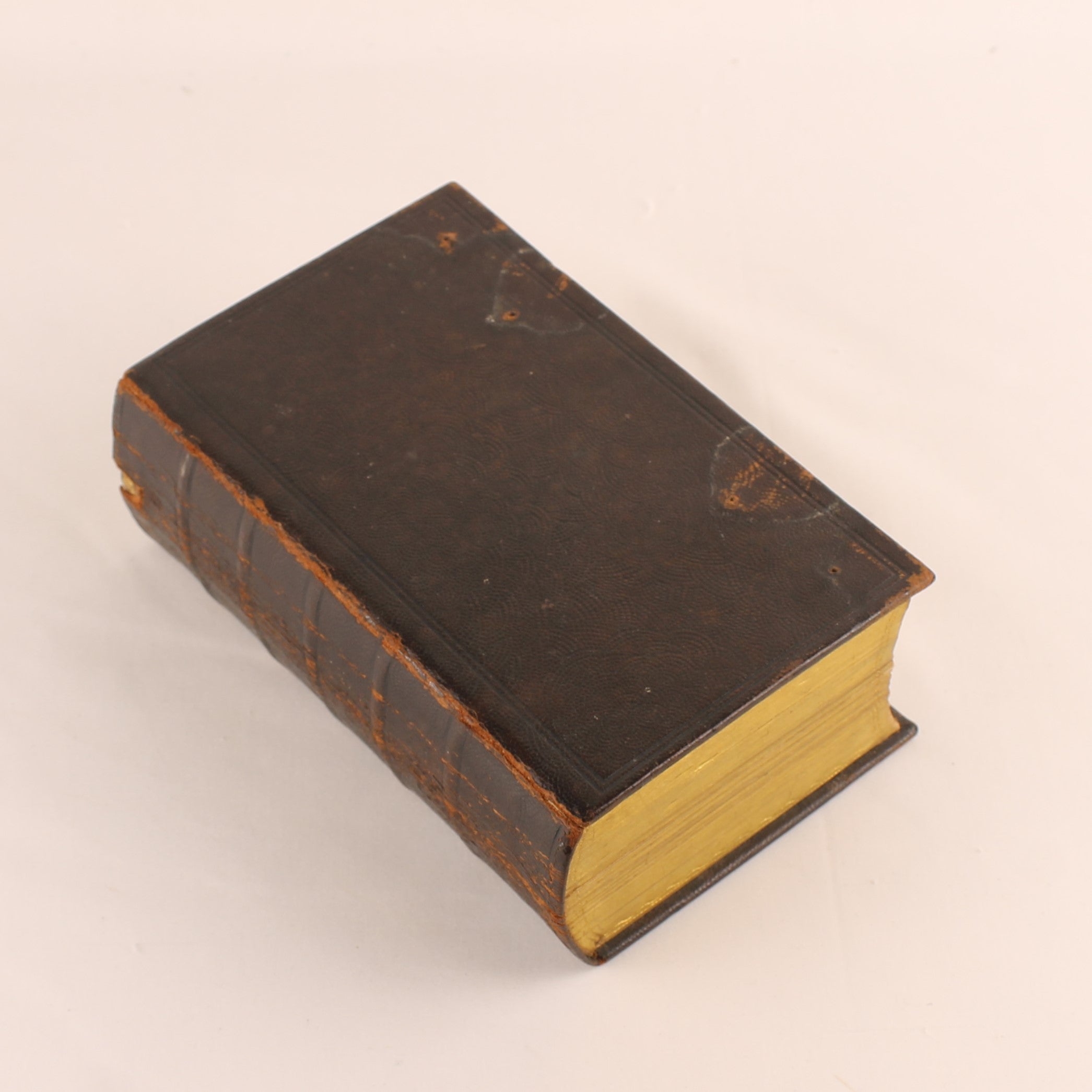 The New Testament 1884 – Statenvertaling – Antique Leather Bible with Gilt Edges