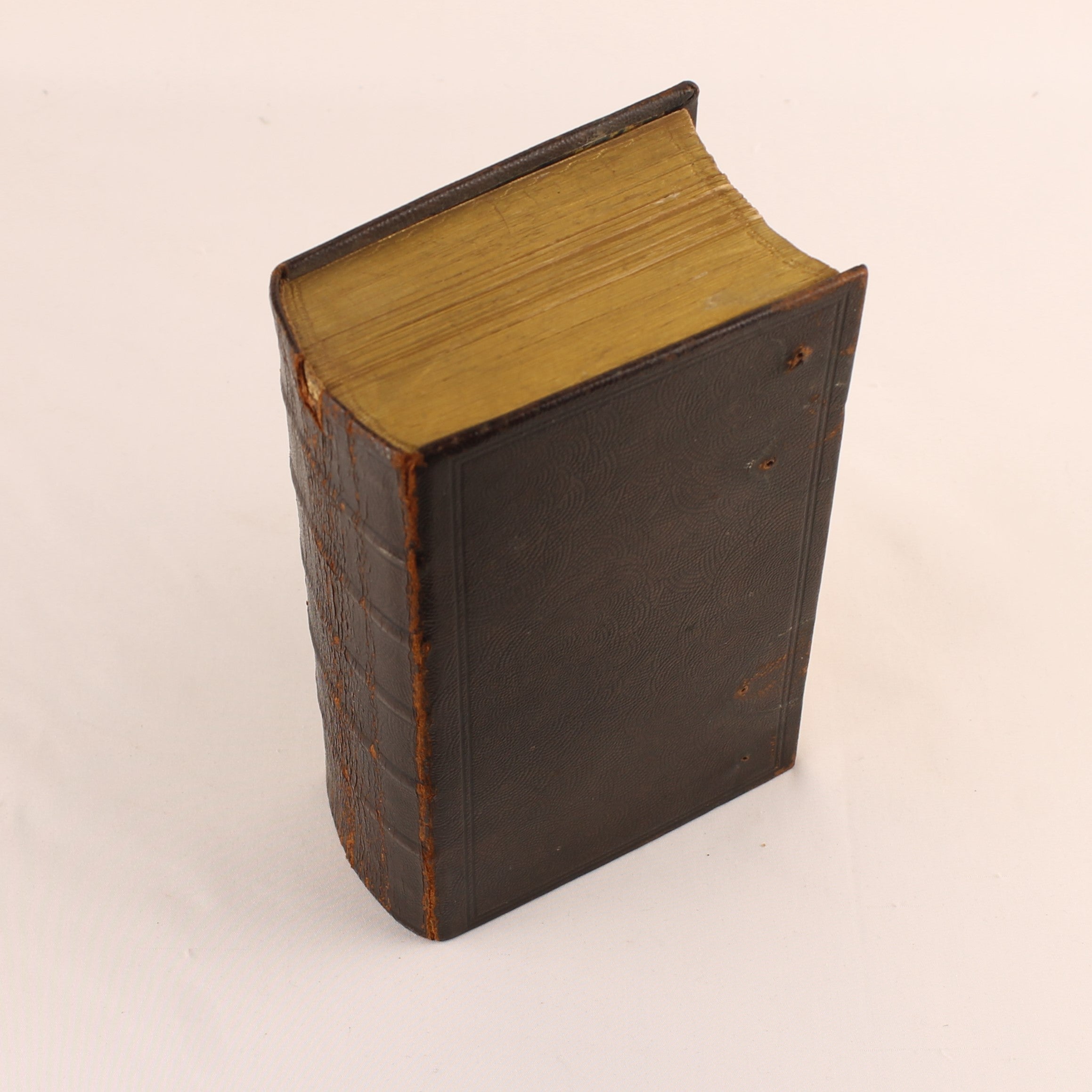 The New Testament 1884 – Statenvertaling – Antique Leather Bible with Gilt Edges