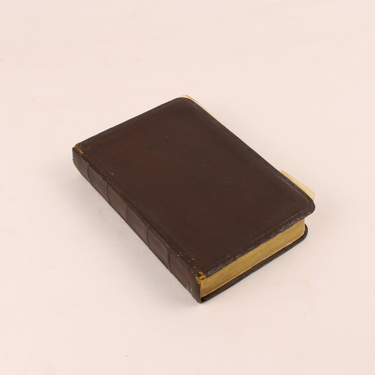 Bibel | NBG-Übersetzung 1951 | Vintage-Bibelchen mit Goldrand und historischem Einlegeblatt