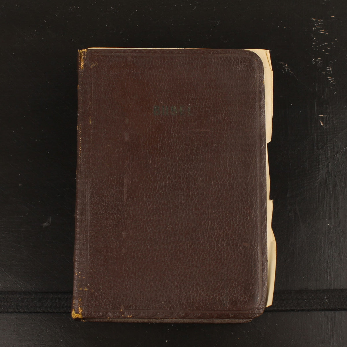 Bibel | NBG-Übersetzung 1951 | Vintage-Bibelchen mit Goldrand und historischem Einlegeblatt