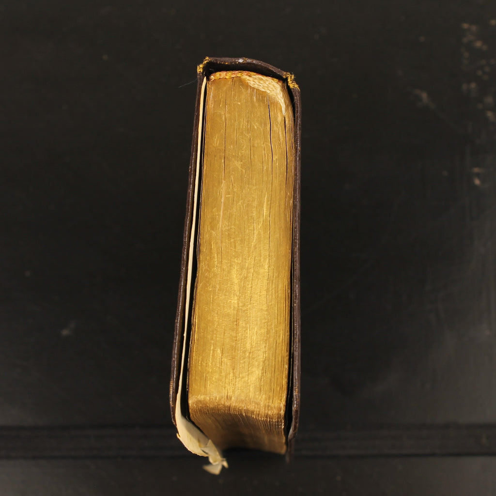 Bibel | NBG-Übersetzung 1951 | Vintage-Bibelchen mit Goldrand und historischem Einlegeblatt