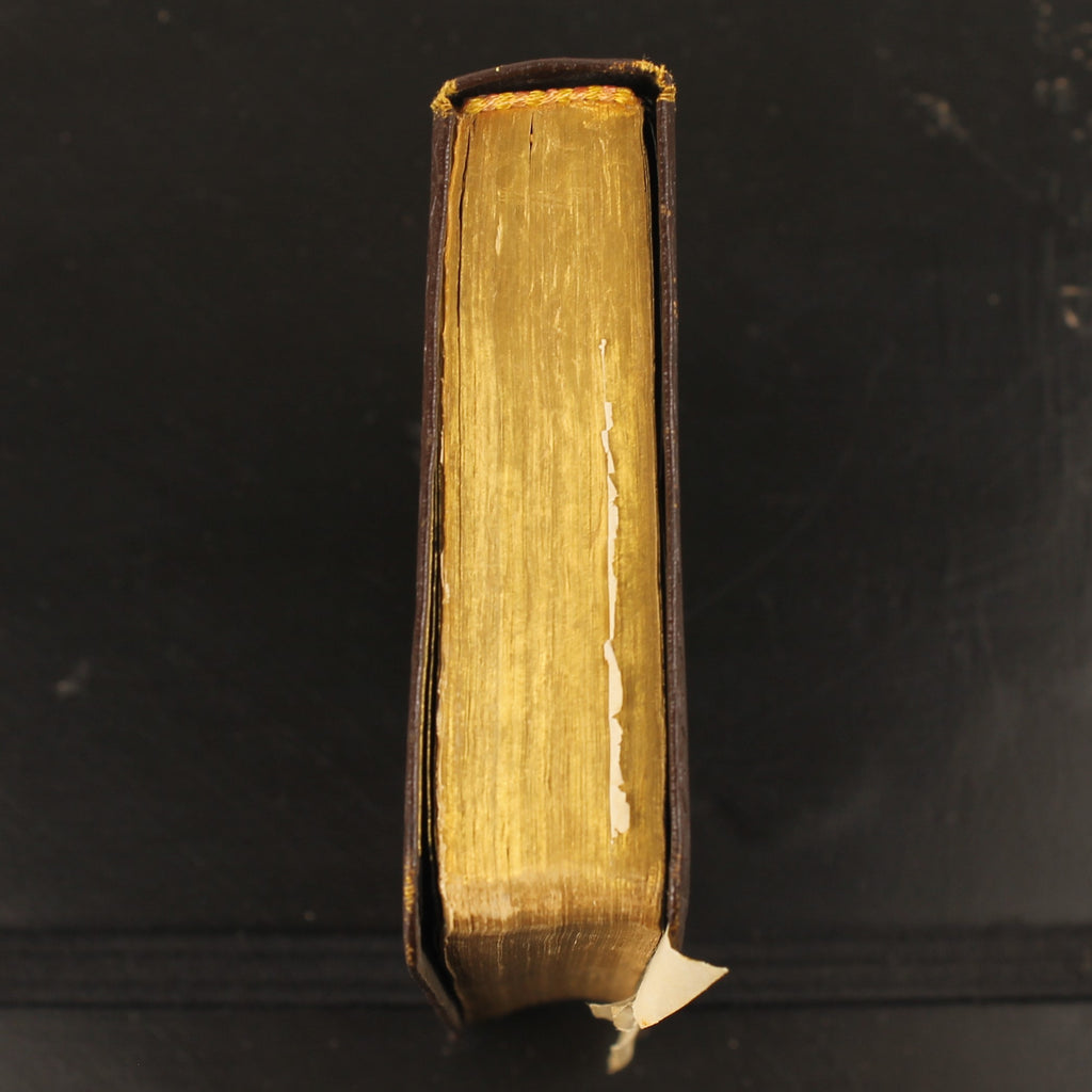 Bibel | NBG-Übersetzung 1951 | Vintage-Bibelchen mit Goldrand und historischem Einlegeblatt