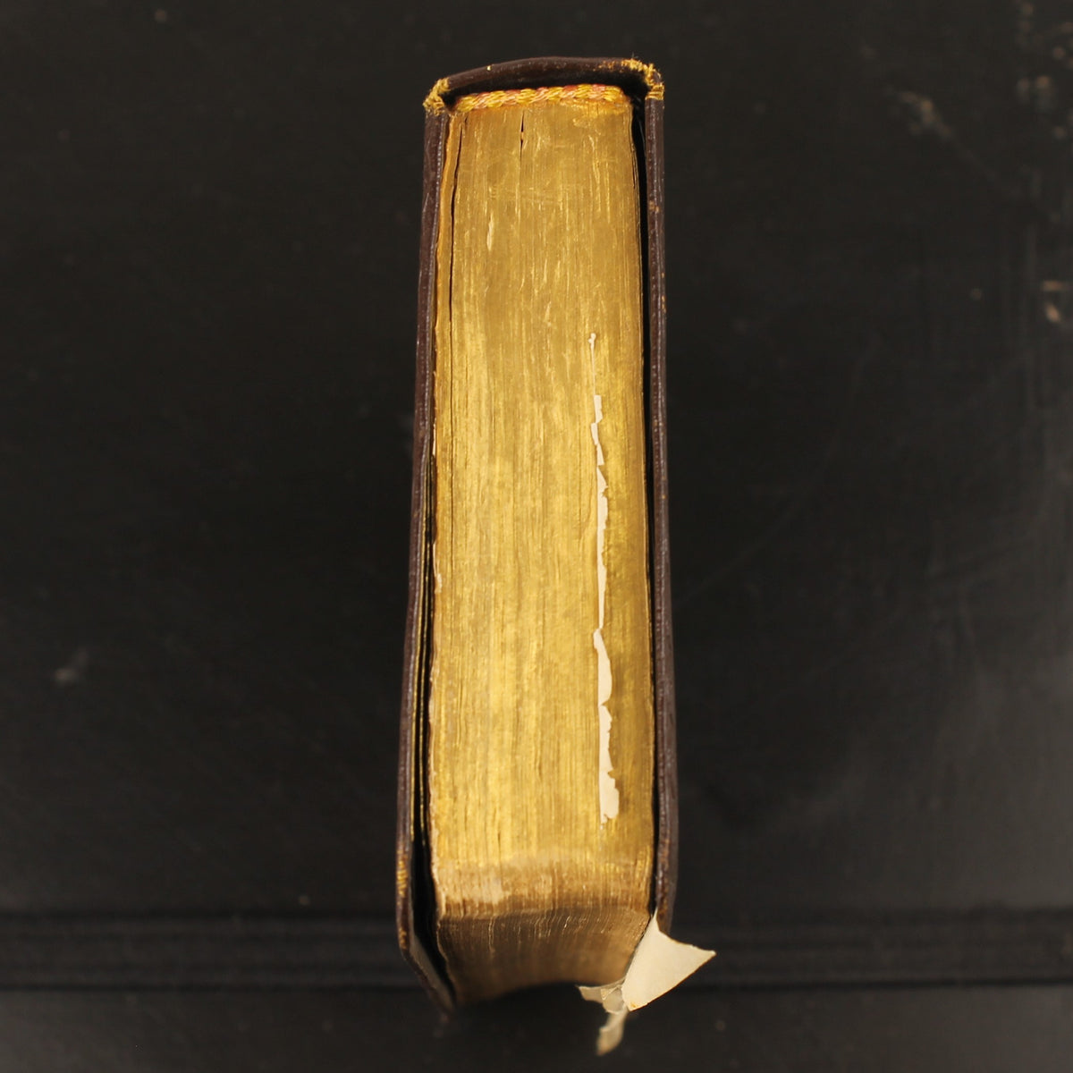 Bibel | NBG-Übersetzung 1951 | Vintage-Bibelchen mit Goldrand und historischem Einlegeblatt