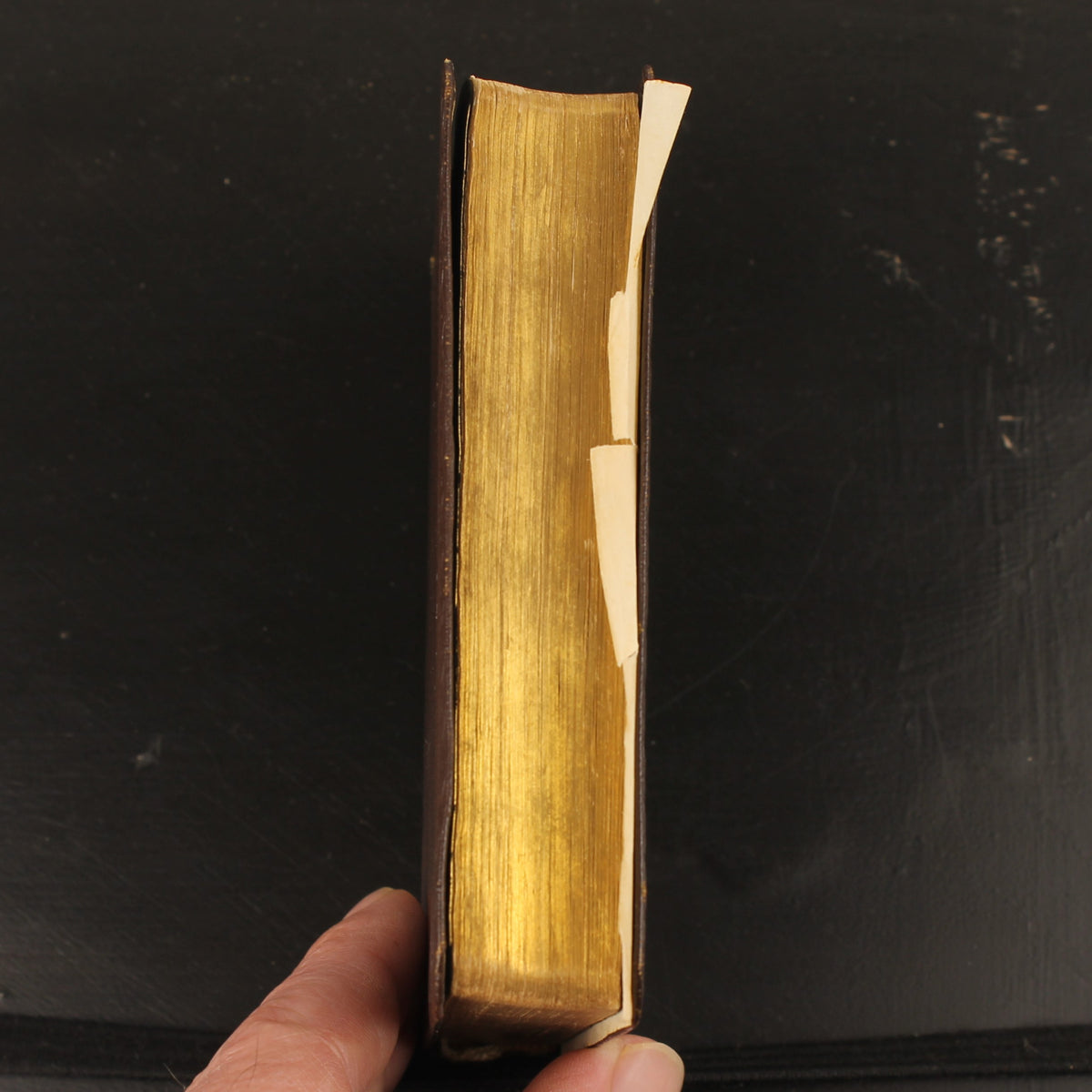 Bibel | NBG-Übersetzung 1951 | Vintage-Bibelchen mit Goldrand und historischem Einlegeblatt