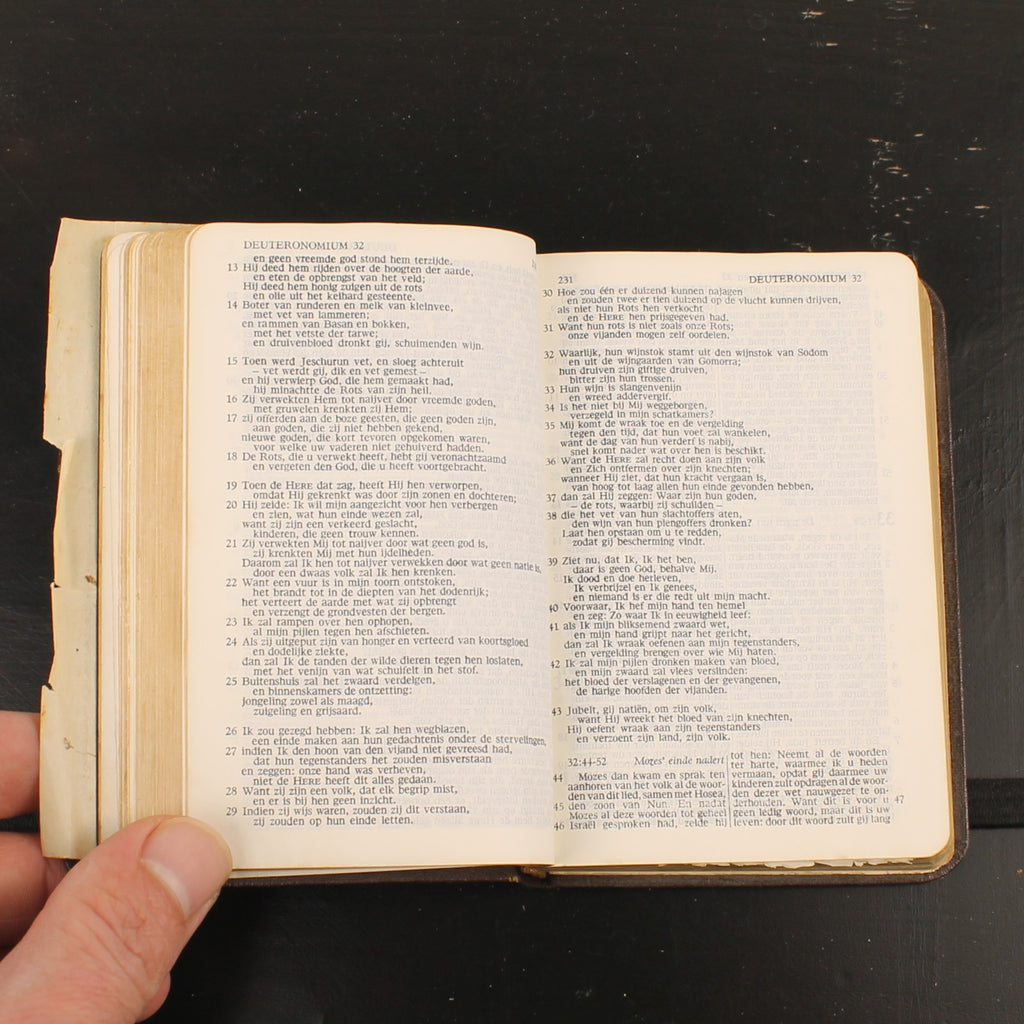 Bibel | NBG-Übersetzung 1951 | Vintage-Bibelchen mit Goldrand und historischem Einlegeblatt