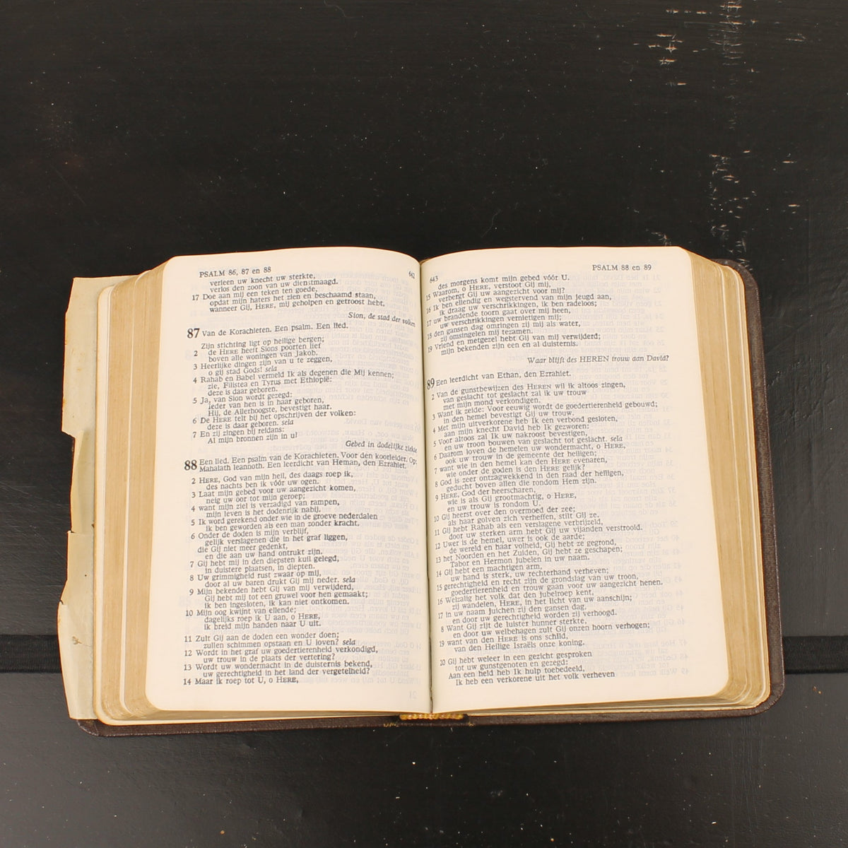 Bibel | NBG-Übersetzung 1951 | Vintage-Bibelchen mit Goldrand und historischem Einlegeblatt