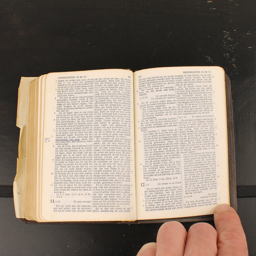 Bibel | NBG-Übersetzung 1951 | Vintage-Bibelchen mit Goldrand und historischem Einlegeblatt