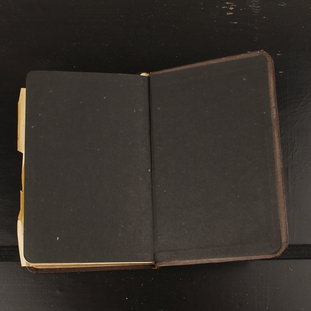 Bibel | NBG-Übersetzung 1951 | Vintage-Bibelchen mit Goldrand und historischem Einlegeblatt