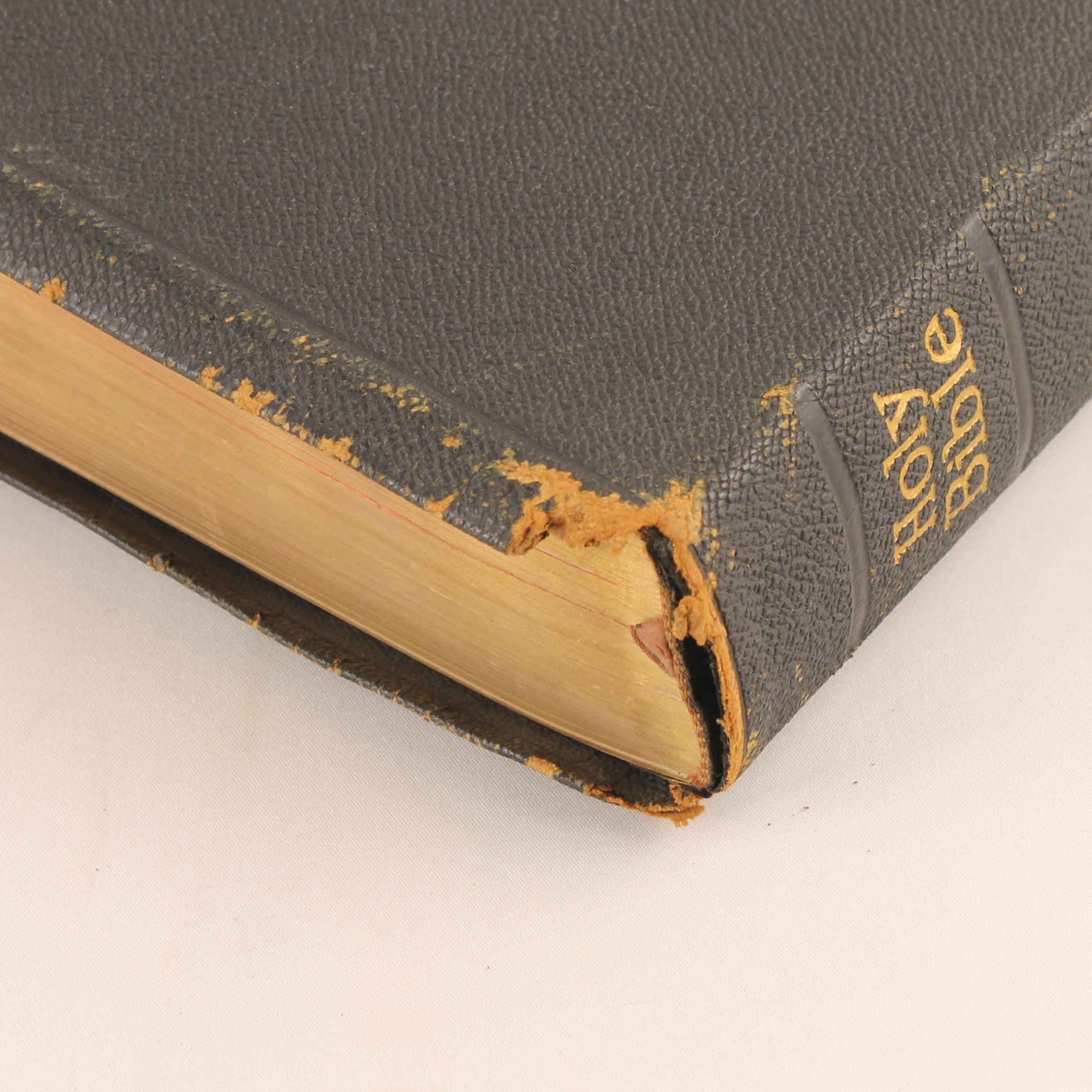 A.J. Holman “Jewel” Holy Bible 1942 – Met Nederlandse Krantenknipsels