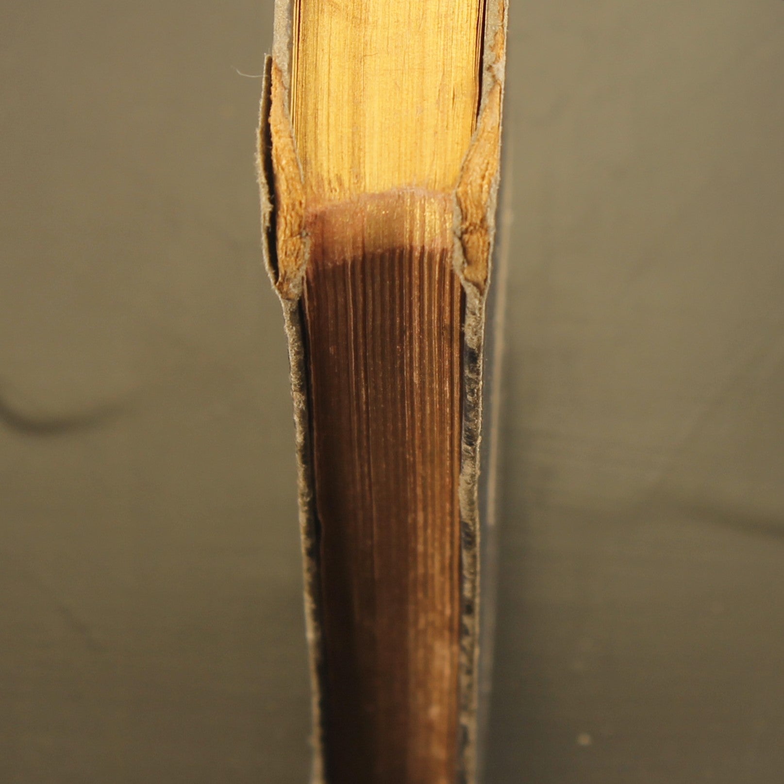 Jezus Mijn Toevlucht – Katholiek Mis- en Gebedenboek (1951) – Vintage Goudsnede