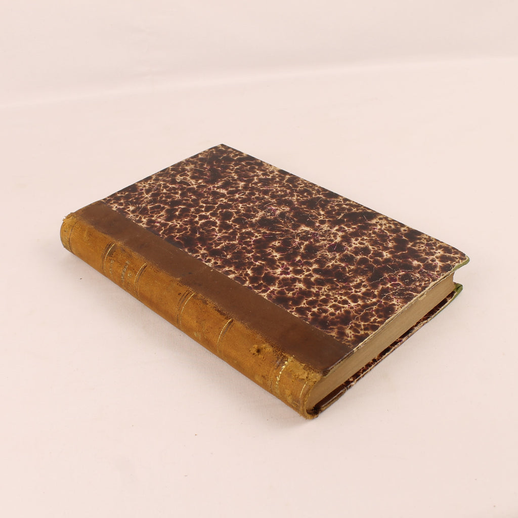 Mademoiselle Cloque - René Boylesve - First Edition 1899 - Éditions de la Revue Blanche
