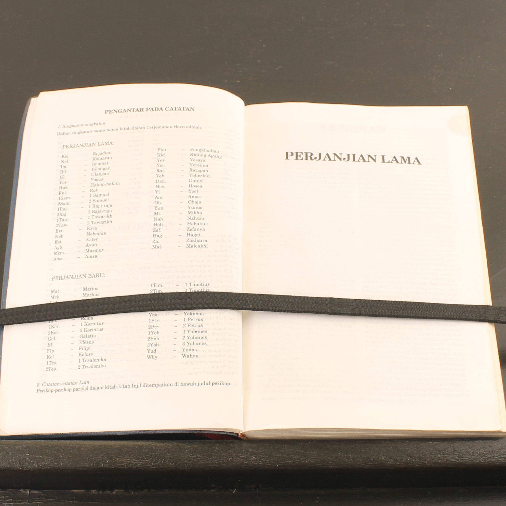 Alkitab – Indonesische Bijbel (LAI, Jakarta 1996) | Goudopdruk & Leeslinten