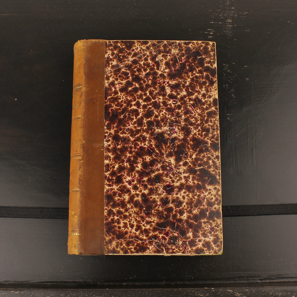 Mademoiselle Cloque - René Boylesve - First Edition 1899 - Éditions de la Revue Blanche
