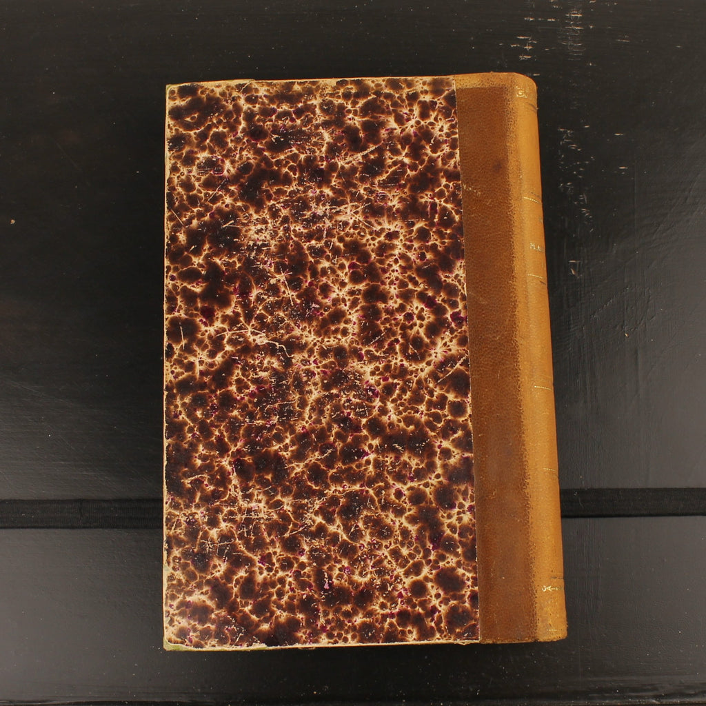 Mademoiselle Cloque - René Boylesve - First Edition 1899 - Éditions de la Revue Blanche