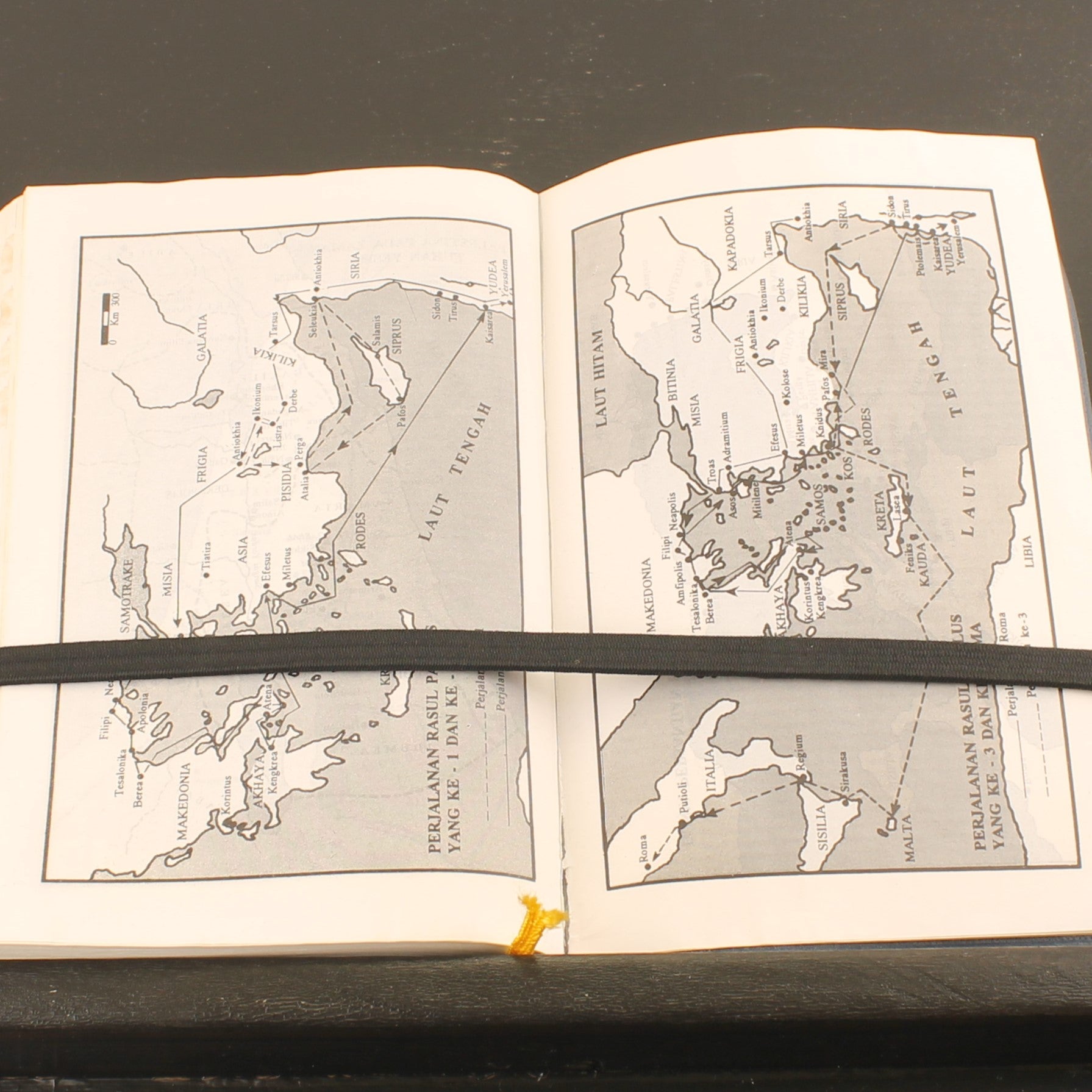 Alkitab – Indonesische Bijbel (LAI, Jakarta 1996) | Goudopdruk & Leeslinten